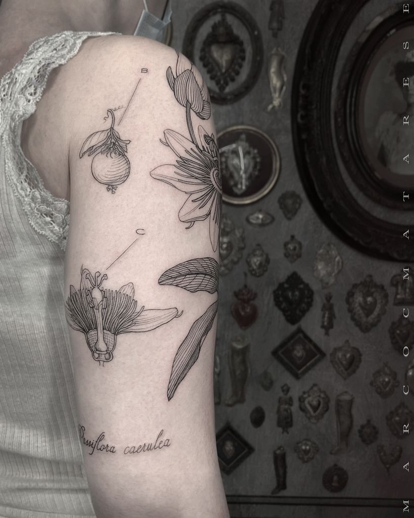 PASSIFLORA 2