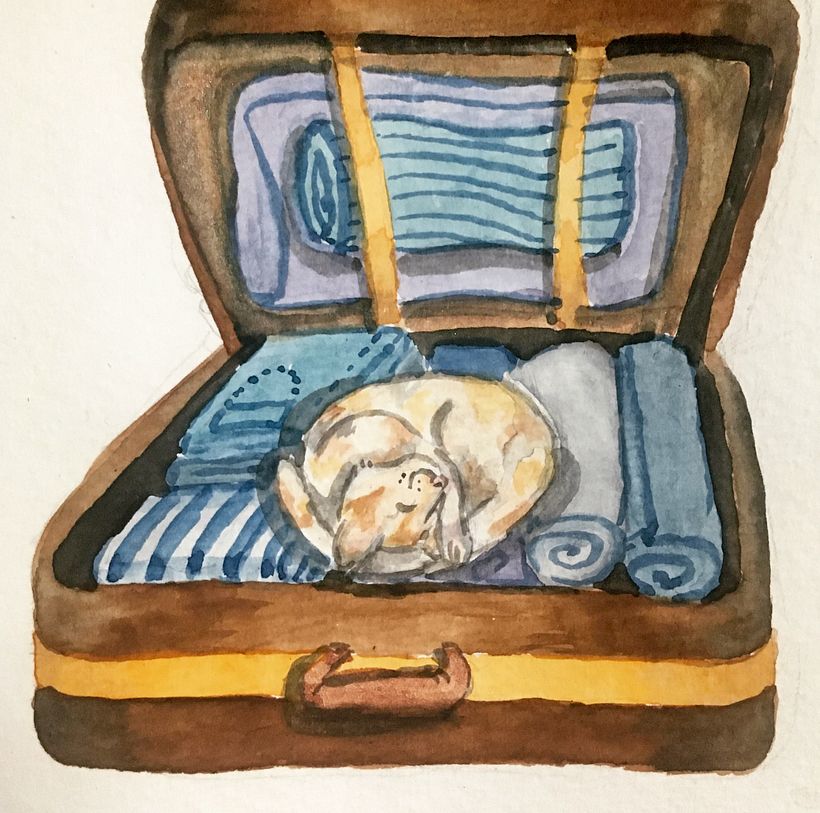 Day 9- travel