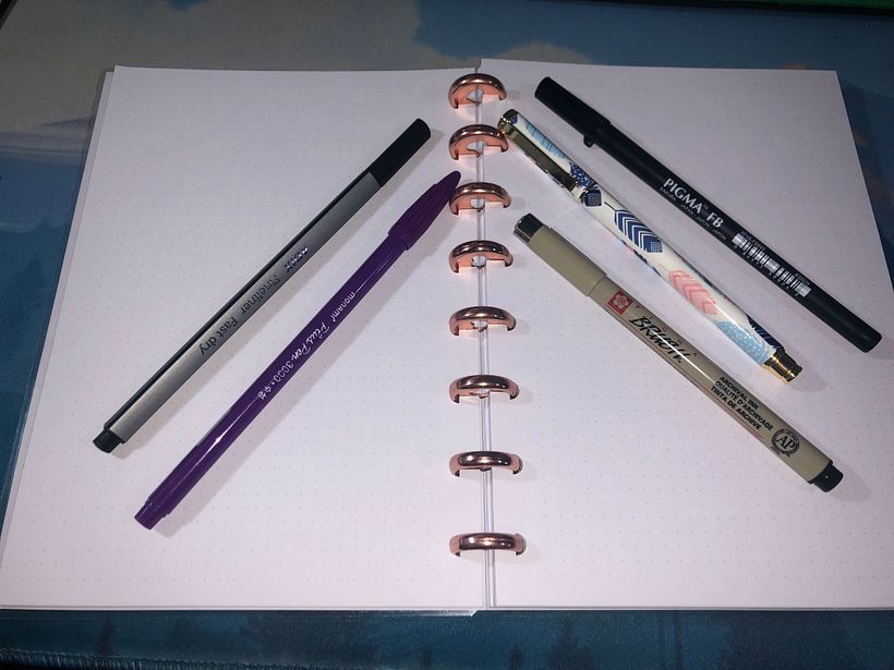 Mi Proyecto del curso: Introducción al bullet journal ilustrado 1
