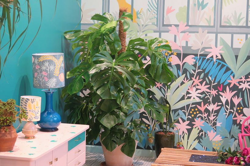 Objets de décoration pour Des Petits Hauts 3