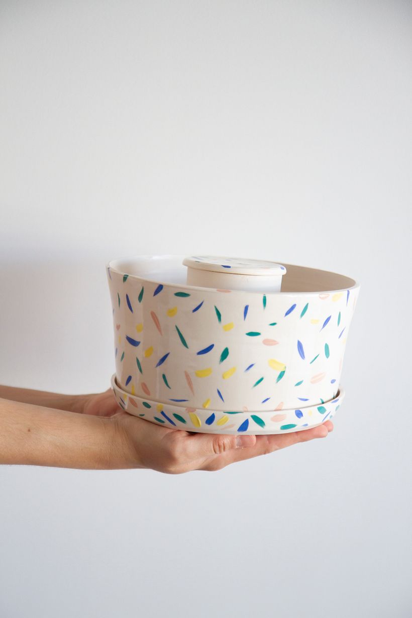 Selbstbewässernde Kollektion 9