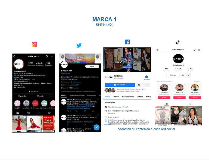 Mi Proyecto del curso: Introducción al community management 3