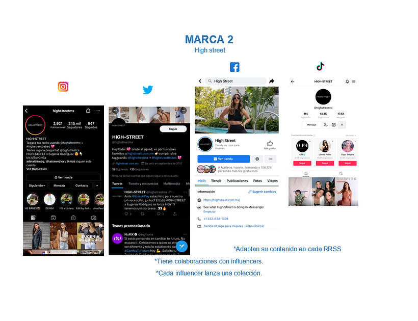 Mi Proyecto del curso: Introducción al community management 4