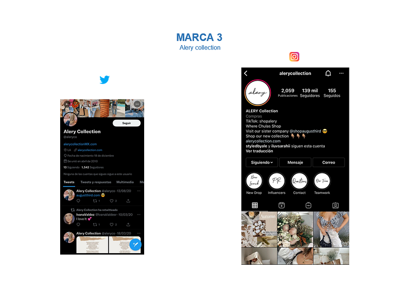 Mi Proyecto del curso: Introducción al community management 5