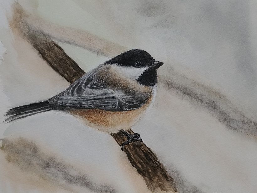 Chickadee