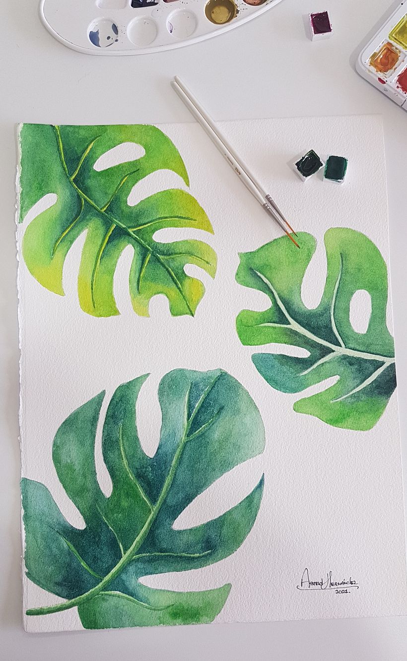 Acuarela botánica en acuarela  9