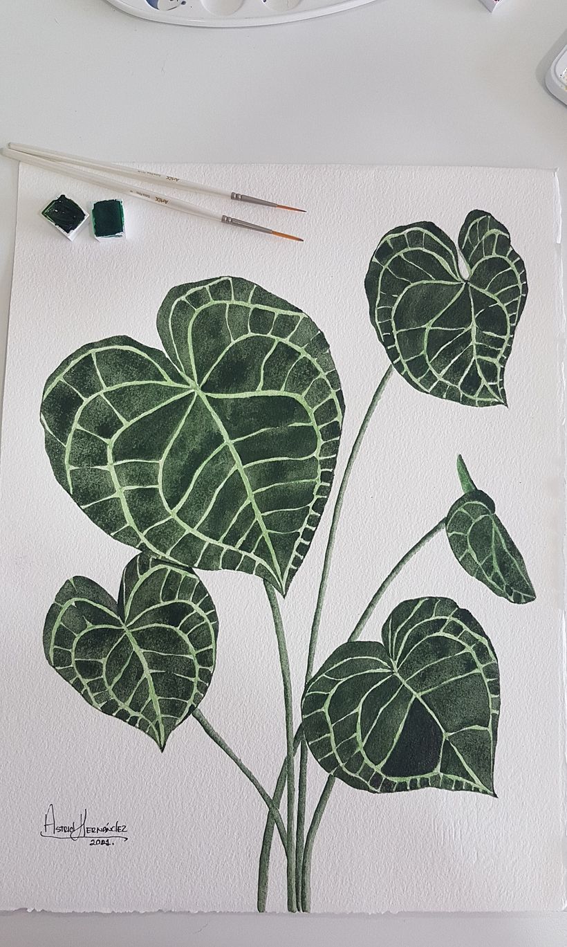 Acuarela botánica en acuarela  10