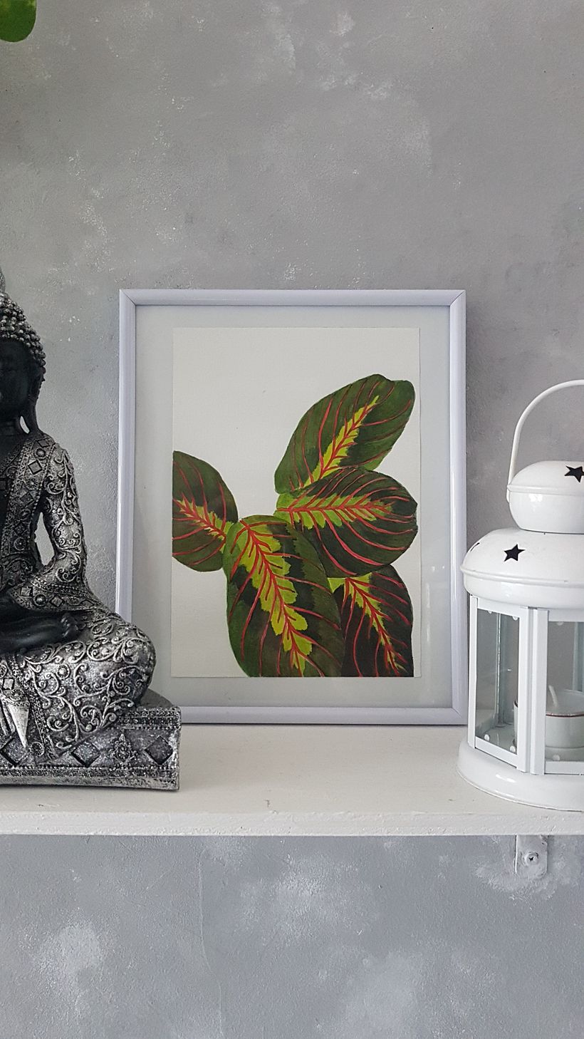 Acuarela botánica en acuarela  12