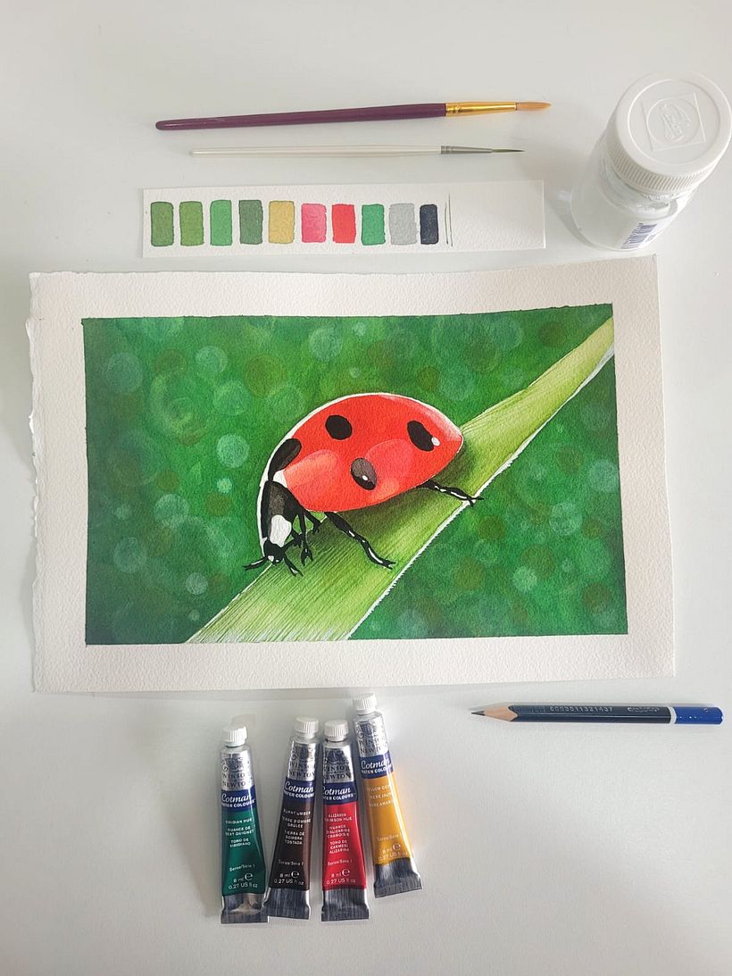 Acuarela botánica en acuarela  13