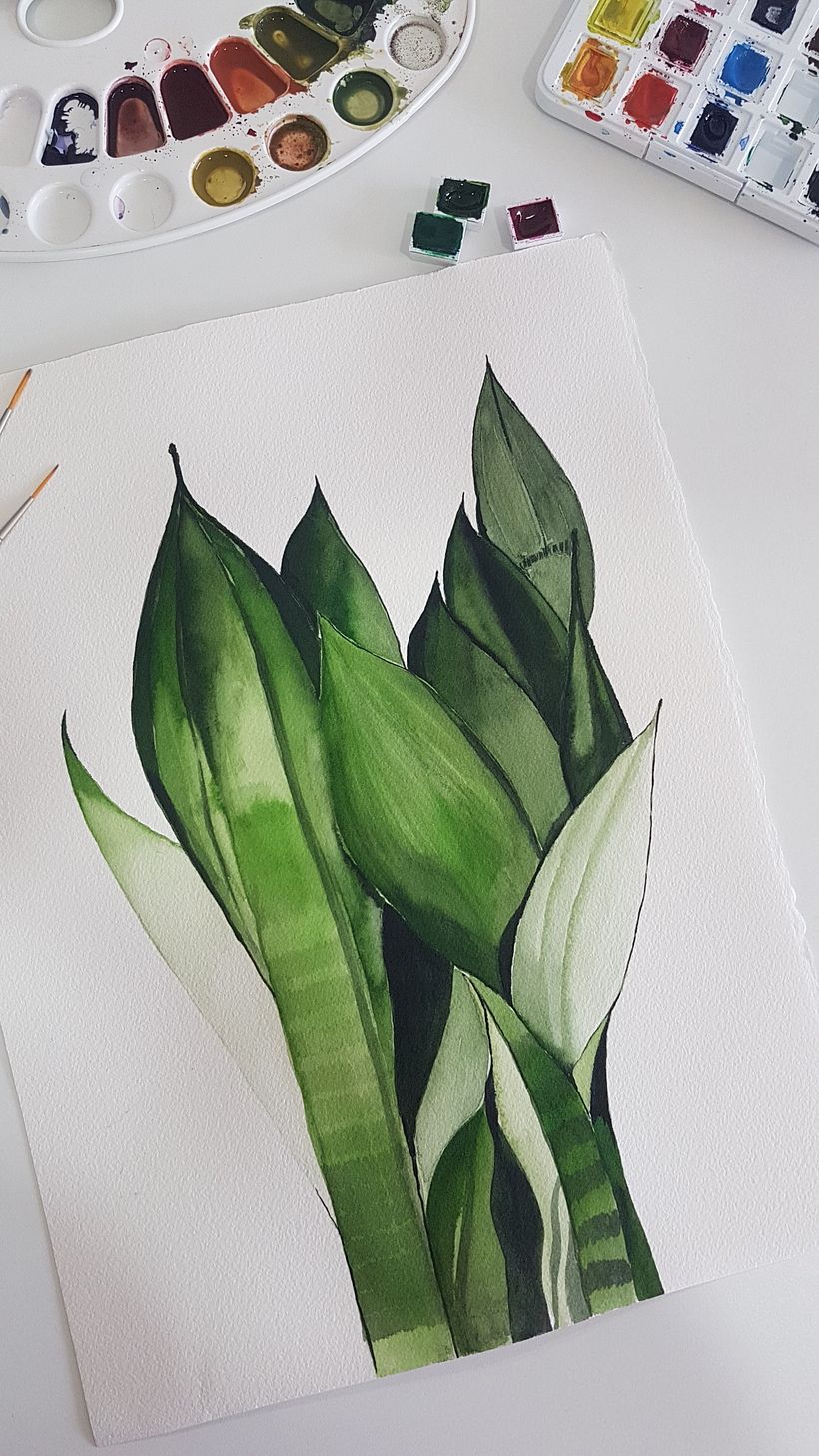 Acuarela botánica en acuarela  17