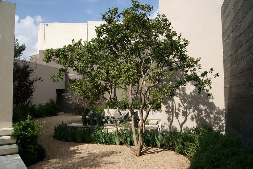 Fuente del rey 2