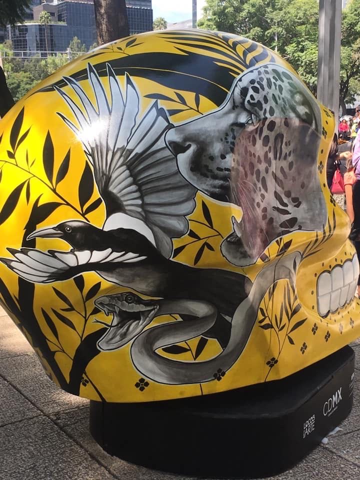 Natura Mexicana 4