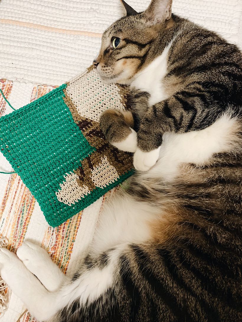 My project in Tapestry: Crochet Techniques for Drawing with Thread  course 4
