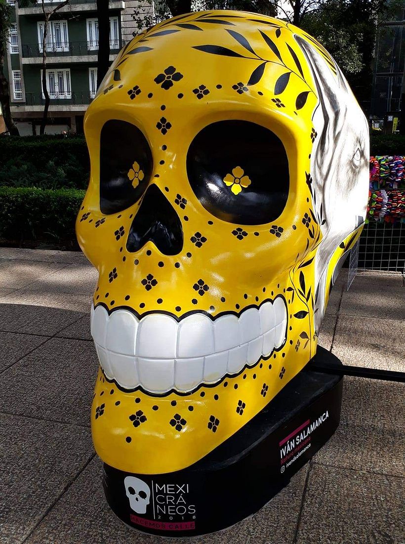 Natura Mexicana 6