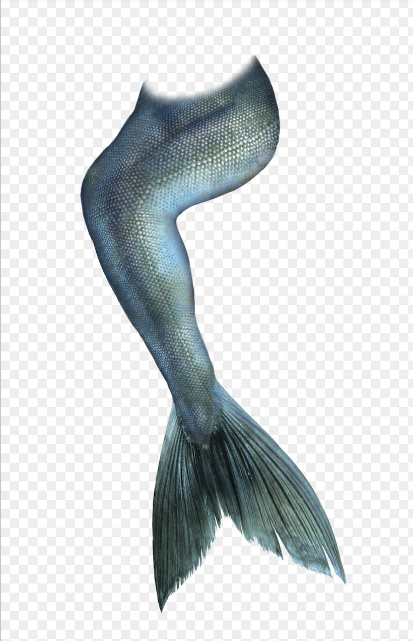 Esta cola de sirena forma parte de los recursos que puedes descargar.