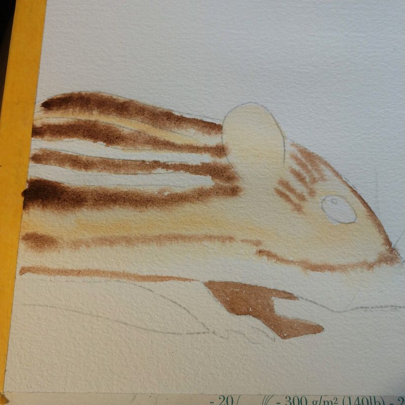 My project in Expressive Animal Portraits in Watercolor course 3
