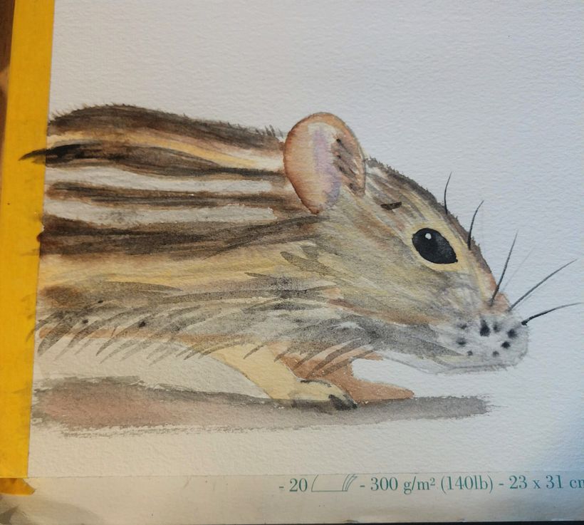 My project in Expressive Animal Portraits in Watercolor course 2