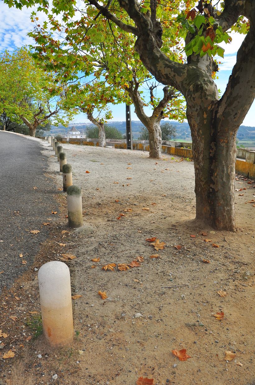 Met flits (zonder compensatie)