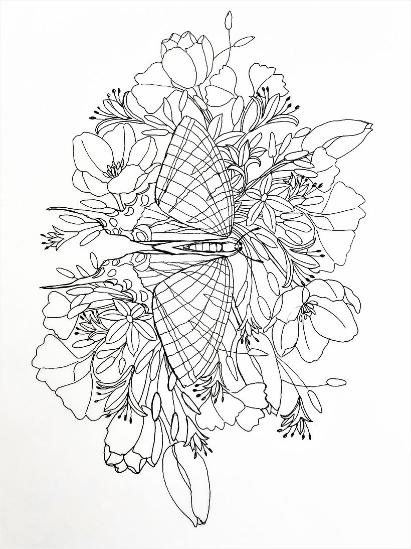 AGAPANTHES 7