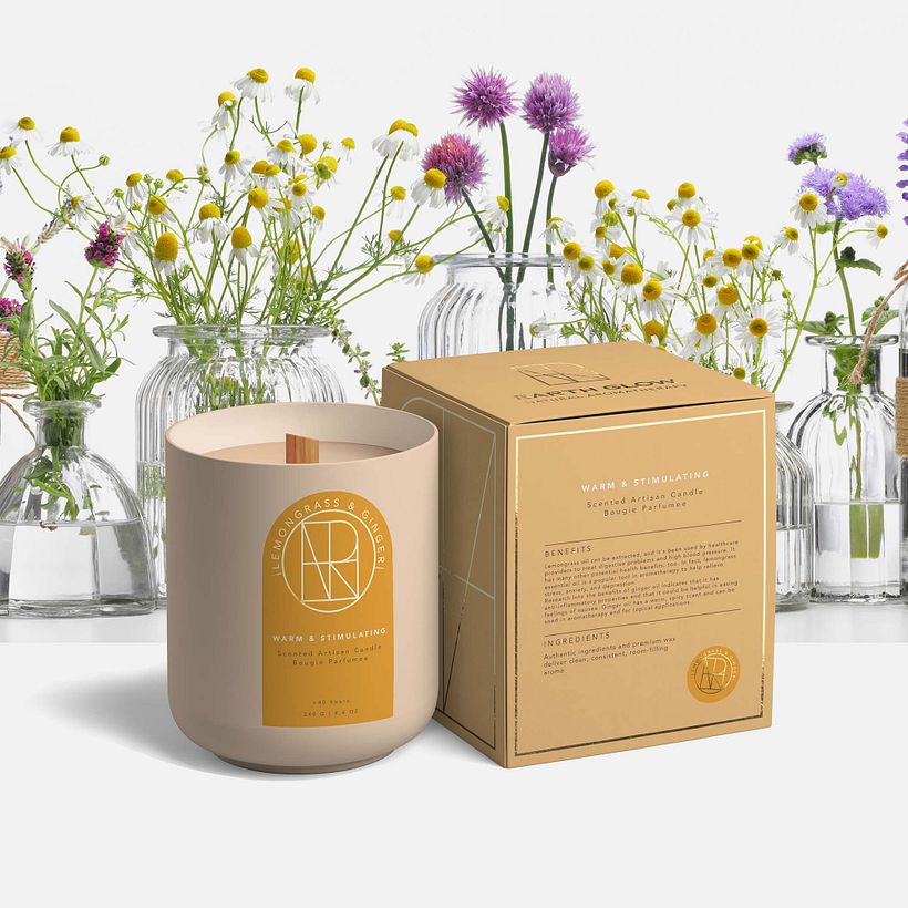 Creative Packaging Design  3