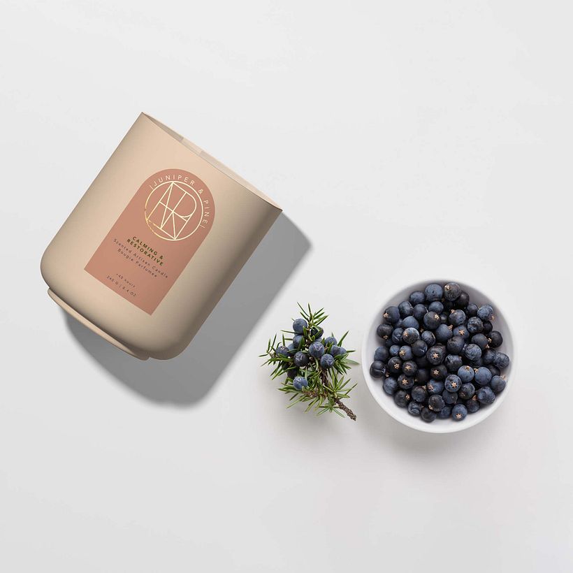 Creative Packaging Design  8