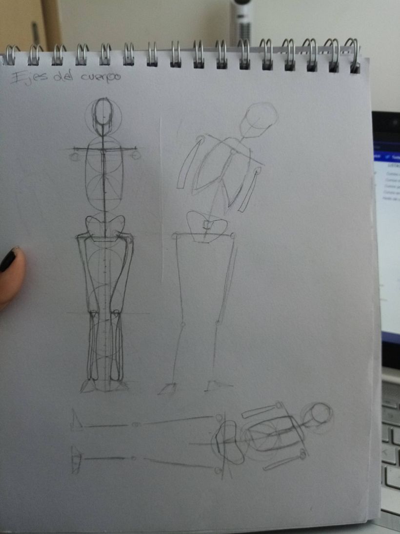 Mi Proyecto del curso: Dibujo anatómico para principiantes 3