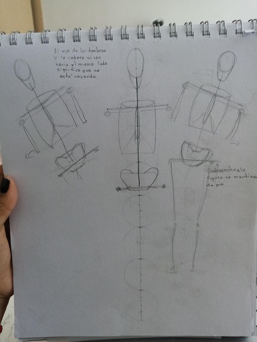 Mi Proyecto del curso: Dibujo anatómico para principiantes 3