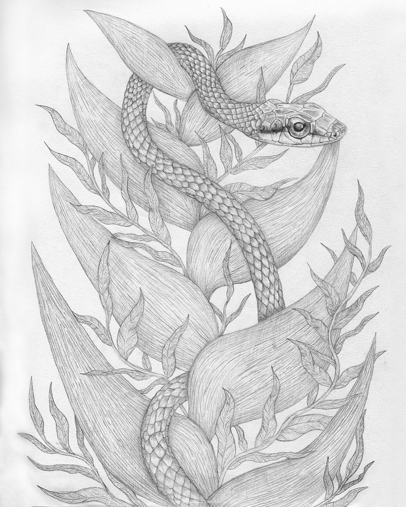 My project in Natural Illustration with Digital Painting course 1