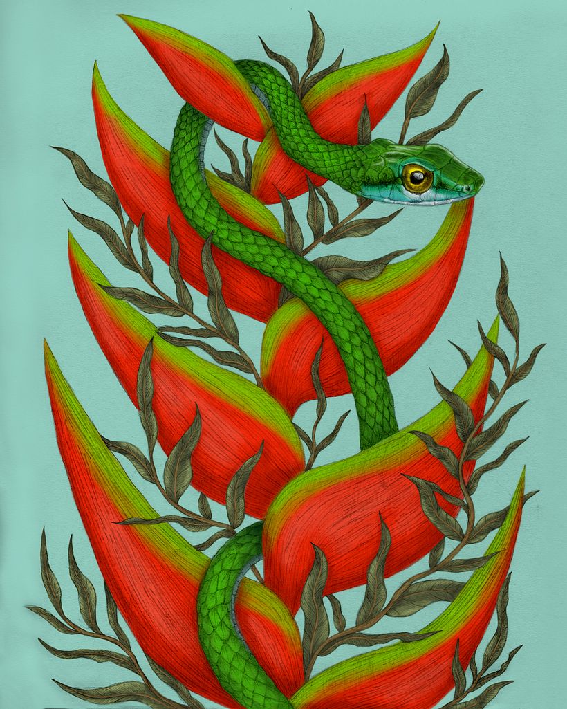 My project in Natural Illustration with Digital Painting course 2