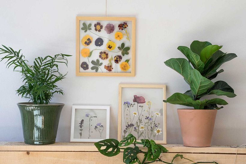 My project in Basic Botanical Pressing Techniques course 1