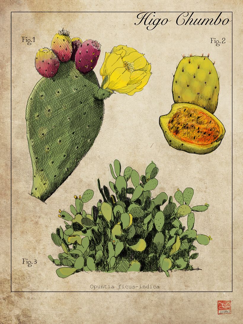 láminas Botánicas 8