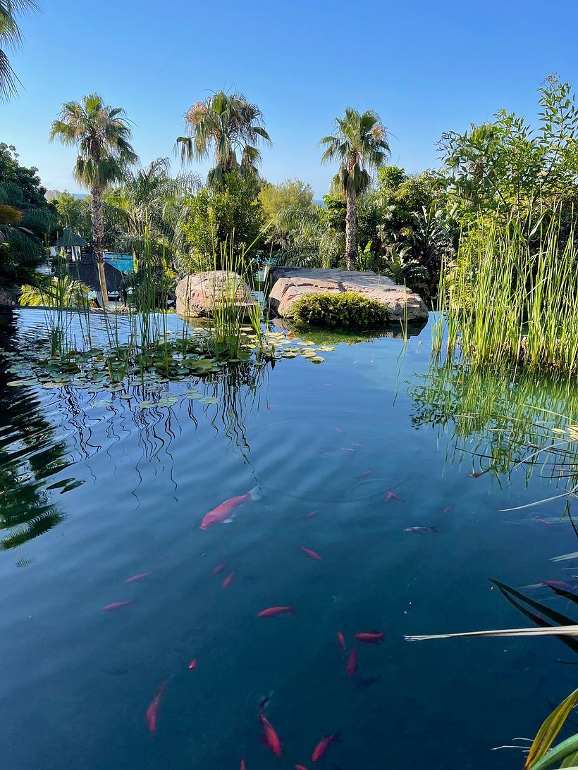 Decoración de 3 hoteles muy diferentes  8