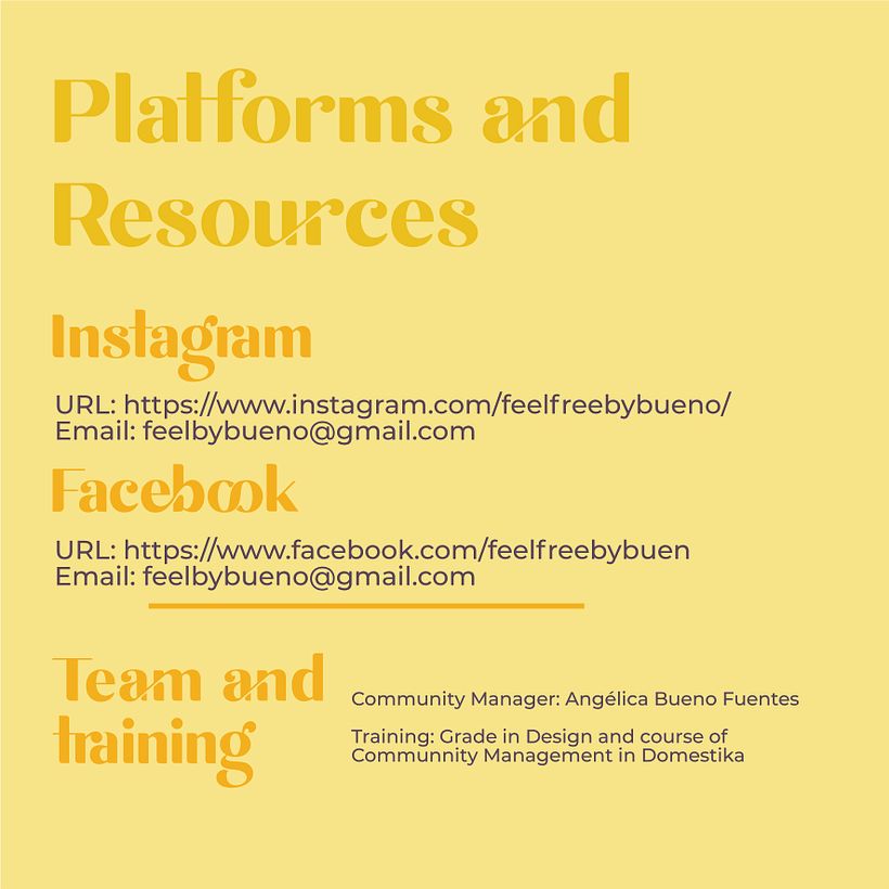 Mi Proyecto del curso: Fundamentos del community management 12