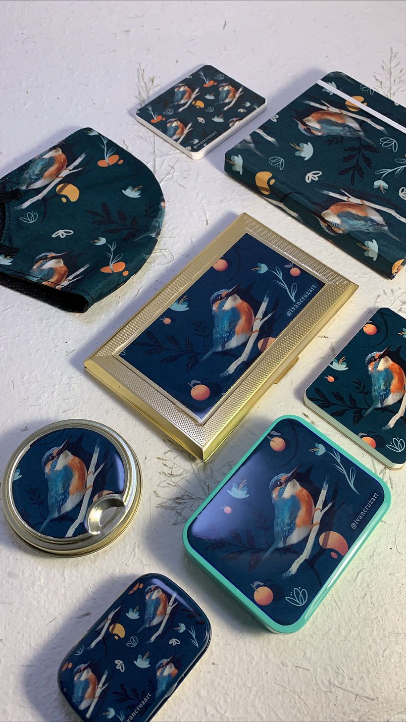 Colección cajas aves 5