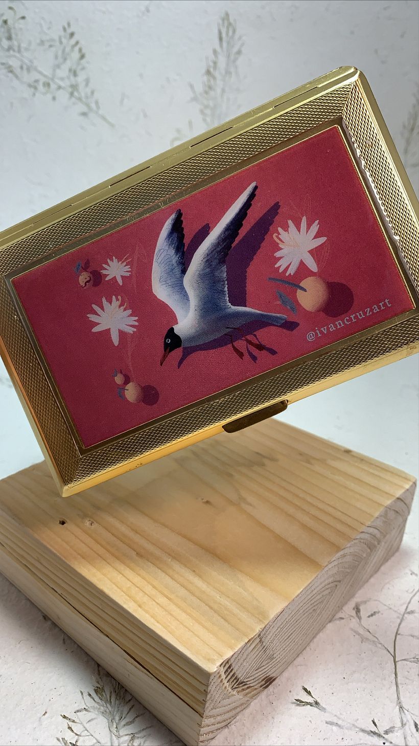 Colección cajas aves 6