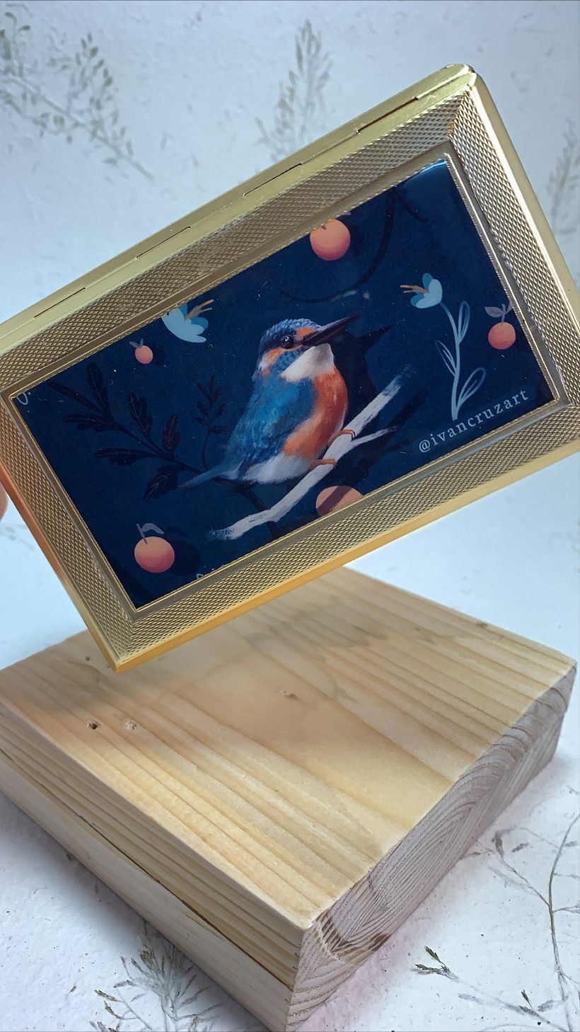 Colección cajas aves 7