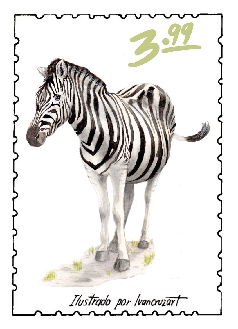 Encargos especiales animales  11