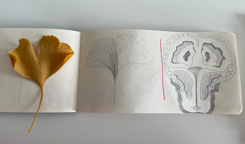 My project in Artist's Notebook: Explore Illustration Techniques course 1