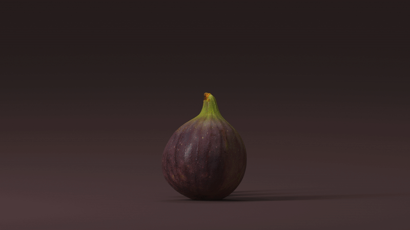 5 A DAY - Motion Graphics
