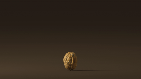 5 A DAY - Motion Graphics