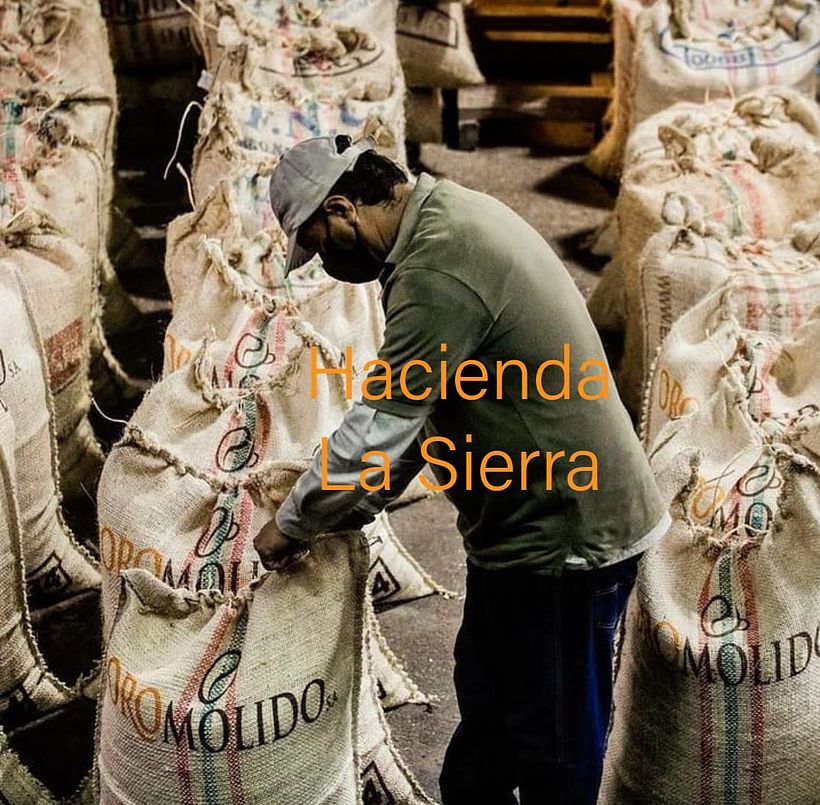 PROCEDENCIA DEL CAFE 