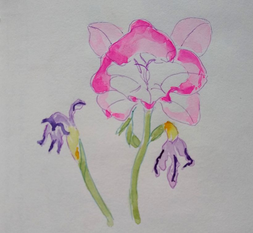 Day 21 Flower. The last surviving flower from a bunch I was given for my birthday last week.