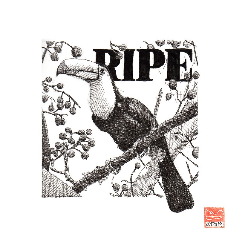 RIPE