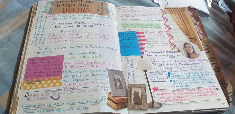 LEI UN LIBRO QUE ME GUSTO, ENTONCES PARA RECORDAR LO MAS ESCENCIAL LO CONVERTI EN UNA COLECCION