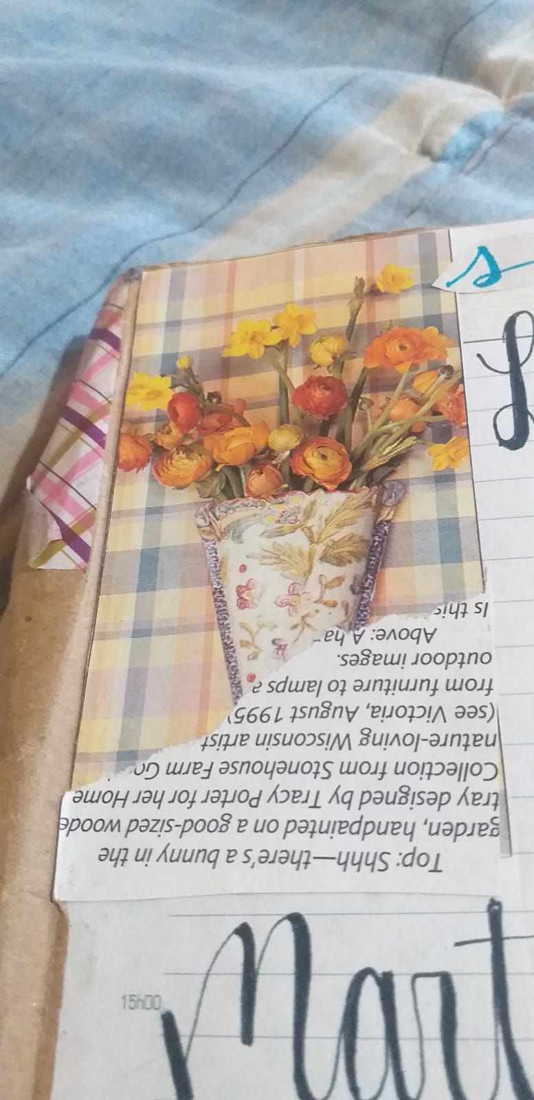 ELEMENTOS QUE ACOMPAÑAM AL REGISTRO DIARIO Y COLECCIONES