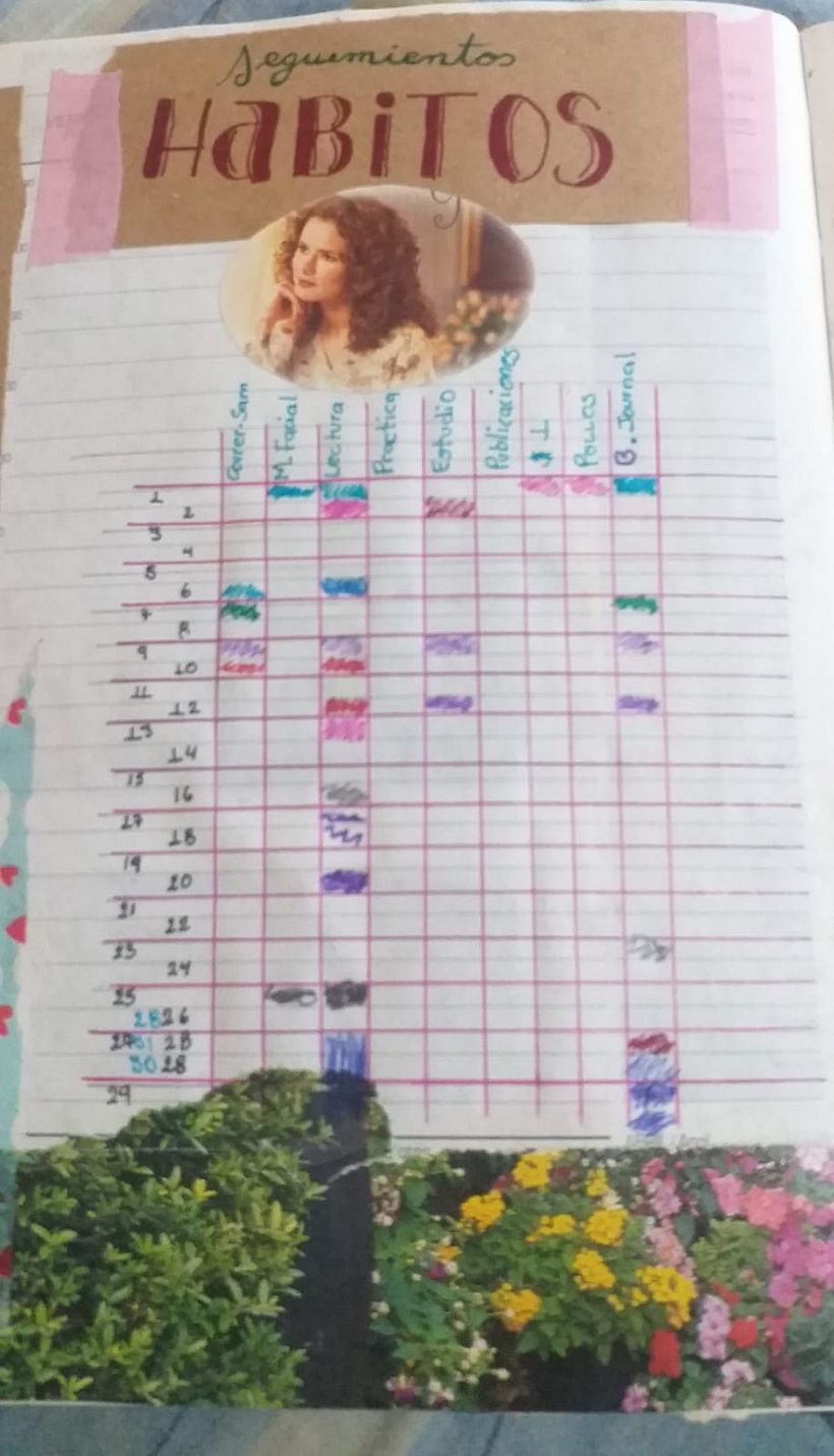 SEGUIMIENTOS DE HABITOS.