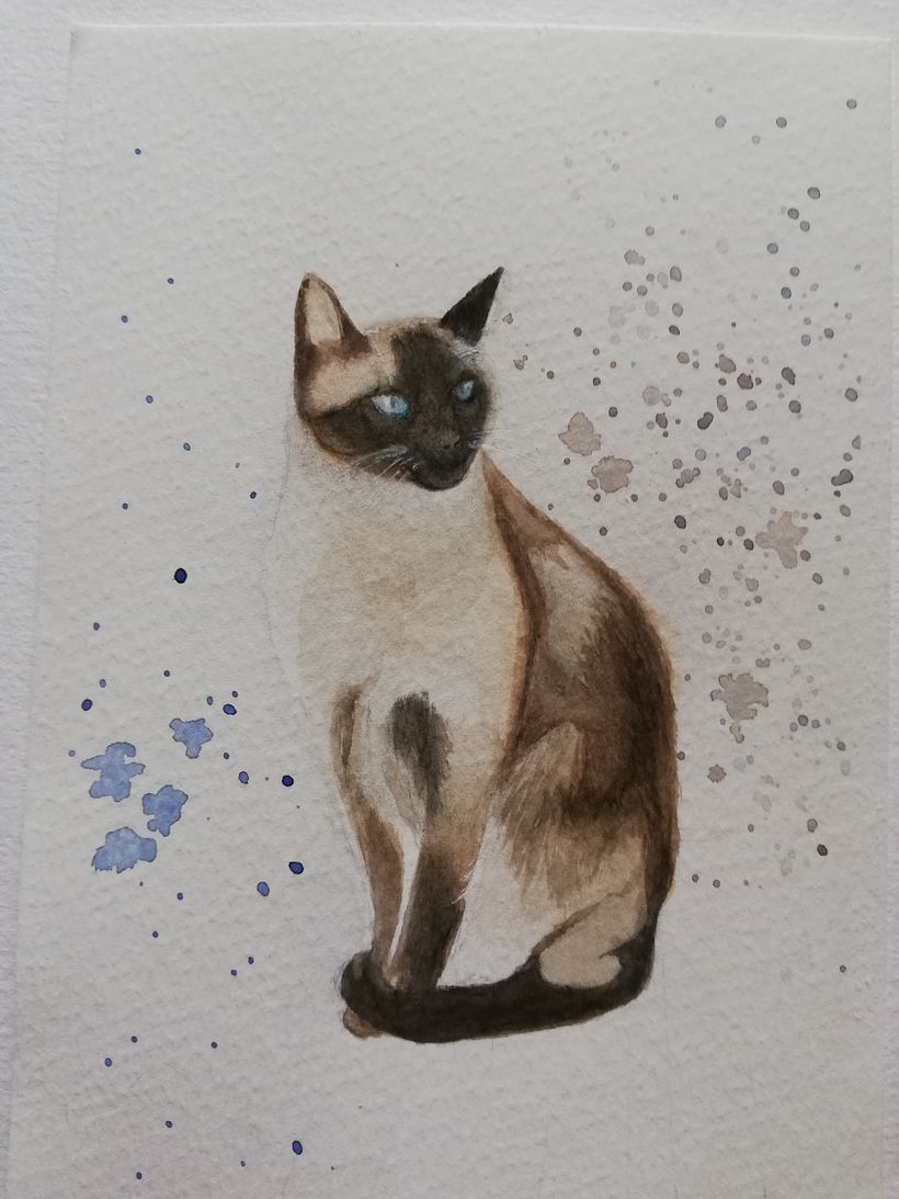 Siamese 