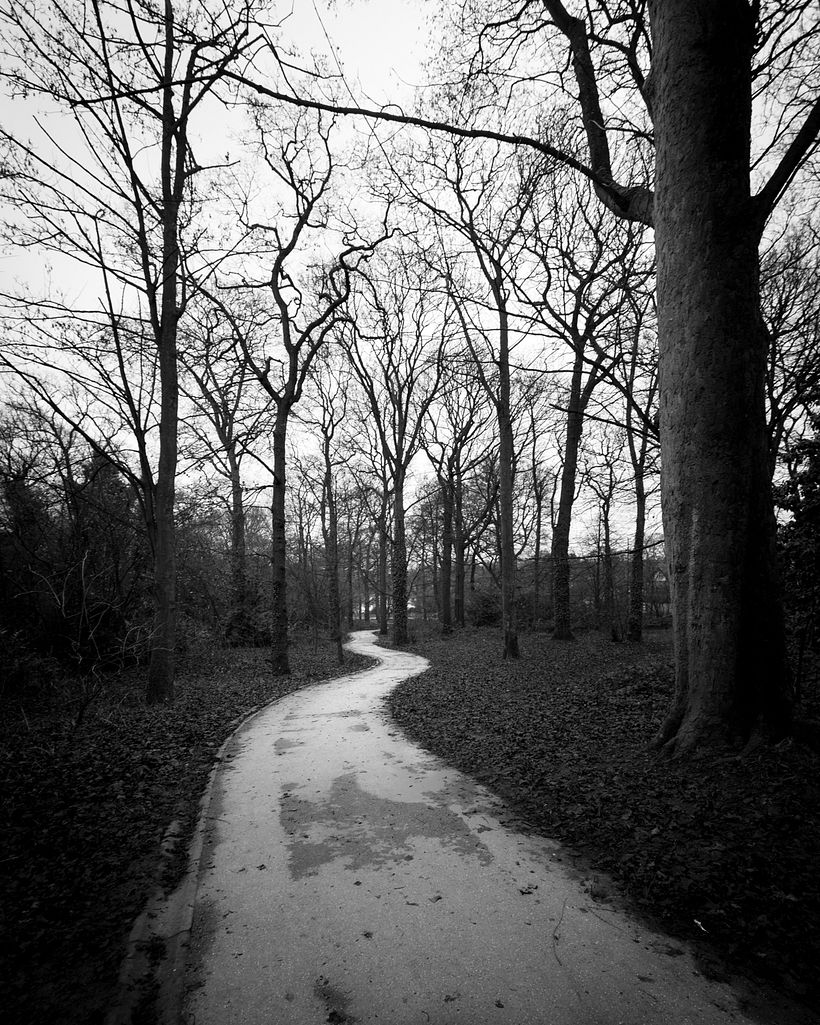 By changing the colors, you can easily transform your peaceful walk in the park into an eerie photograph.