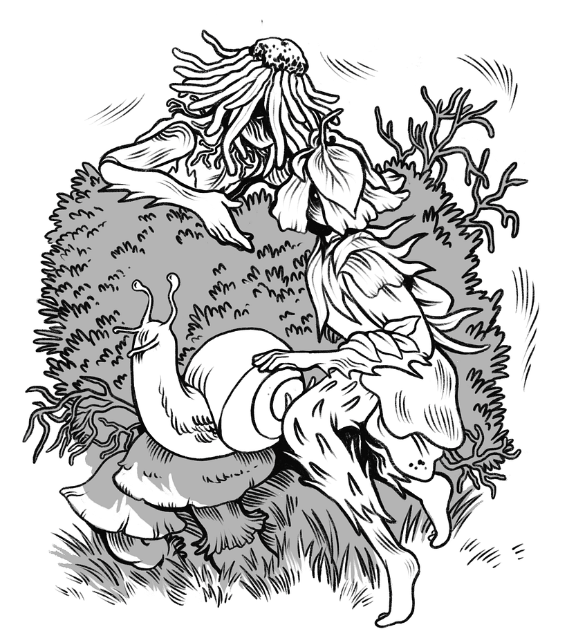 "Nymphs"
