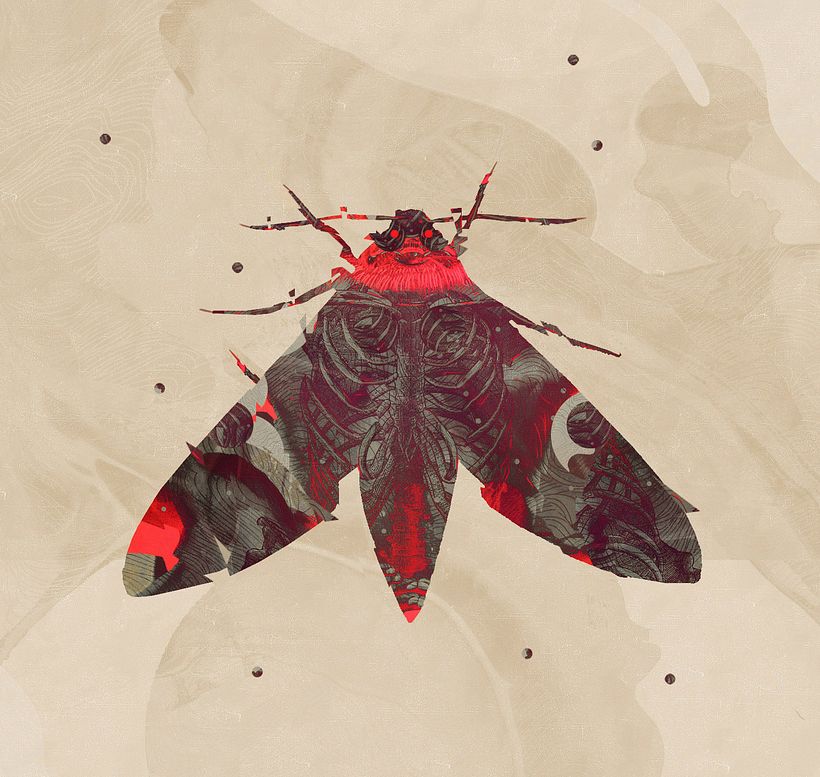 Red Moth